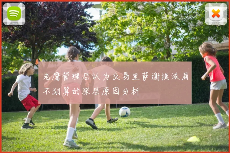 老鹰管理层认为交易里萨谢换浓眉不划算的深层原因分析