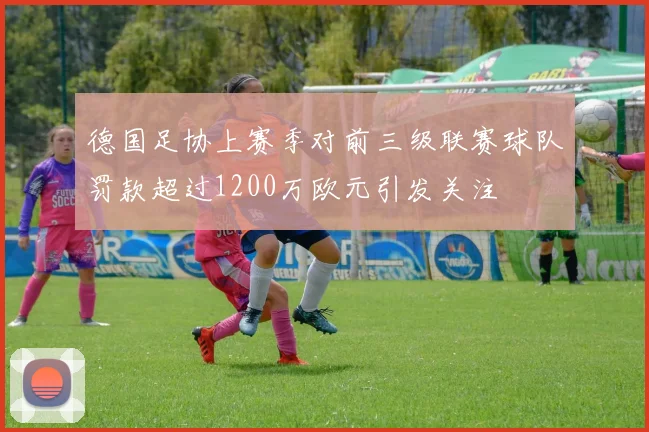 德国足协上赛季对前三级联赛球队罚款超过1200万欧元引发关注